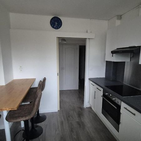 Appartement Spacieux & Paisible Meythet Εξωτερικό φωτογραφία